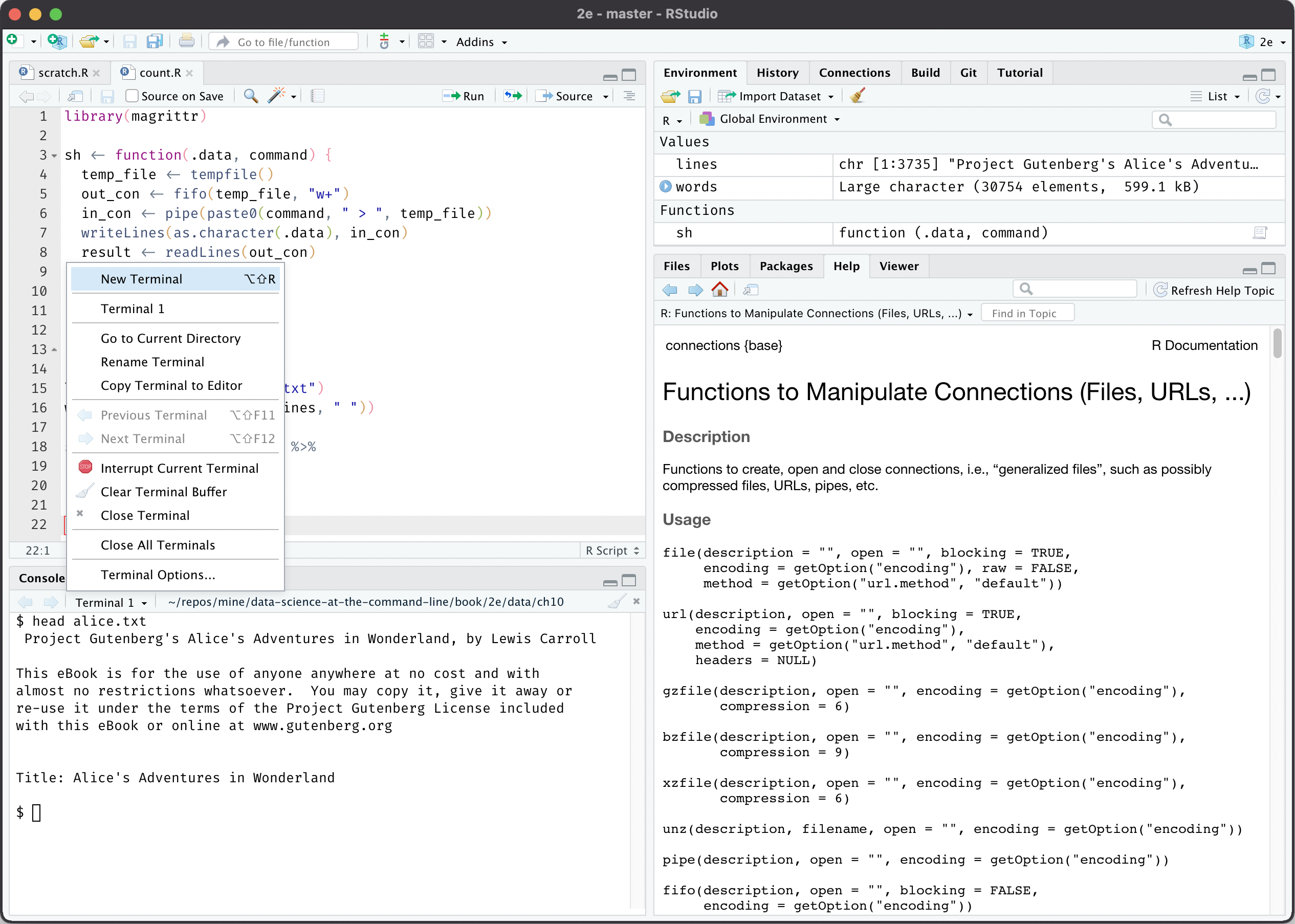 RStudio IDE with terminal tab open